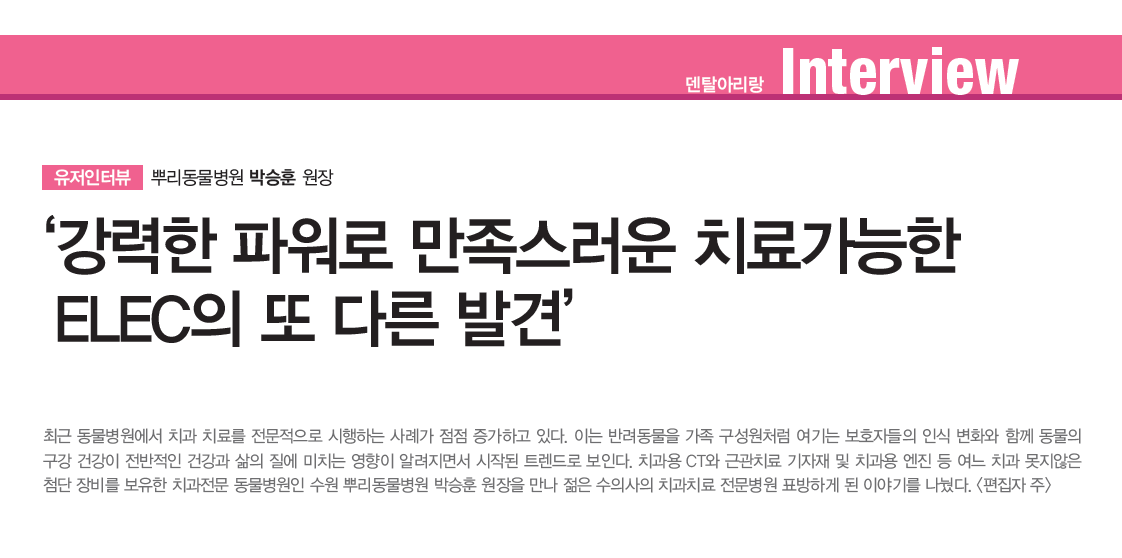 강력한 파워로 만족스러운 치료가능한 ELEC의 또 다른 발견